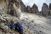 In vetta al Monte Mulaz (2906 m) alle Pale di San Martino il 13 agosto 2017 - FOTOGALLERY